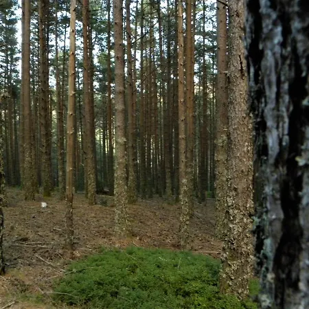 Rural Con Increibles Vistas